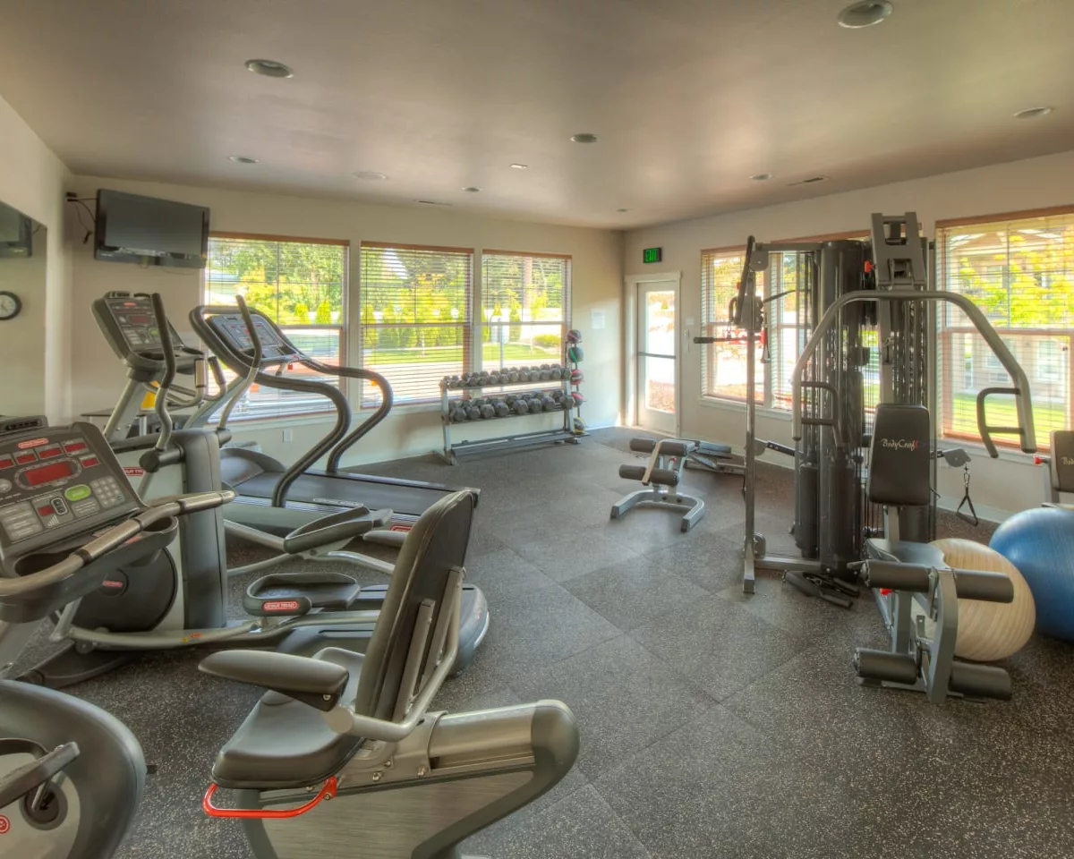 A well-equipped gym with exercise bikes, treadmills, a weight machine, free weights, and large windows offering natural light.